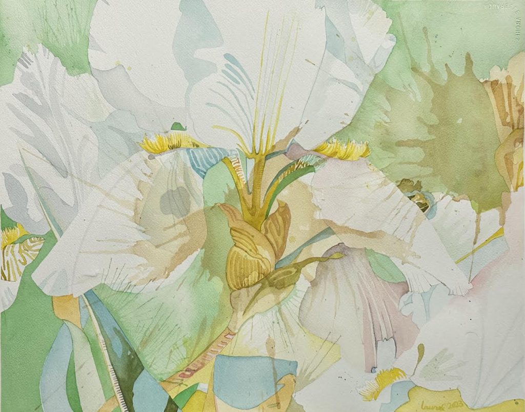 "Besotted" watercolor painting by Laurel Payne. A close-up, detailed depiction of a large white iris flower with soft green and yellow accents, surrounded by loose, abstract splashes.
